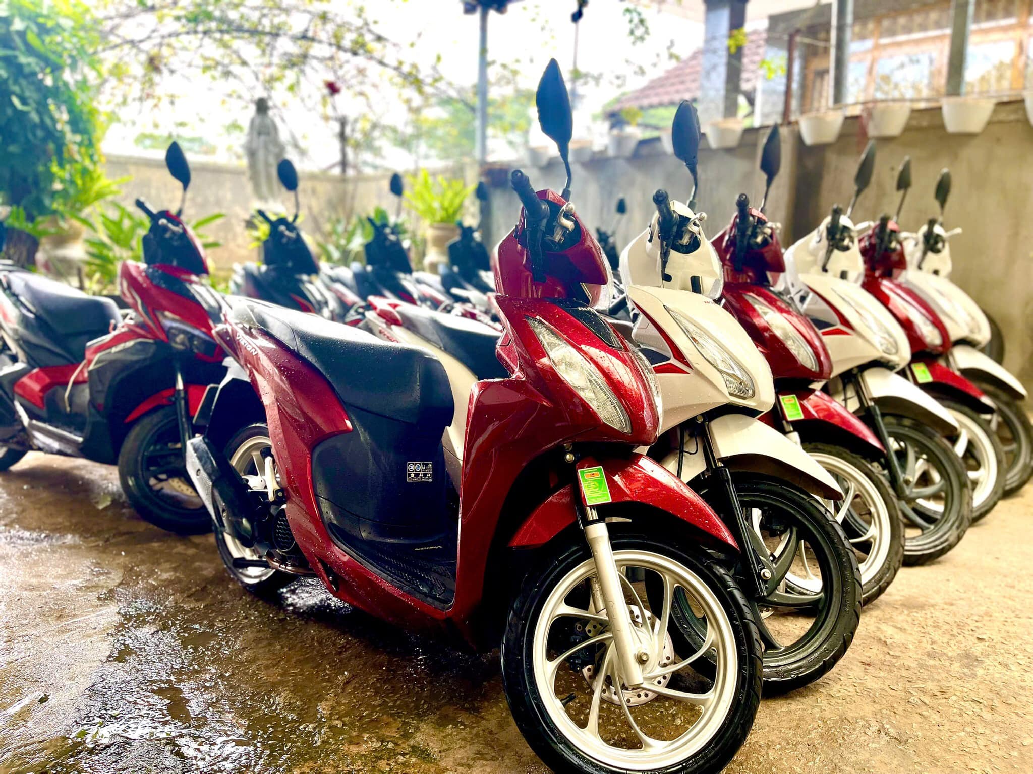 Kinh nghiệm thuê xe máy Sơn Trà Đà Nẵng