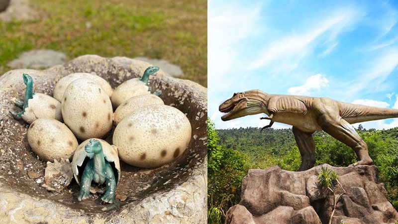 Công viên khủng long nổi tiếng và là đặc trưng của núi Thần Tài